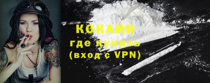 KRAKEN как войти  Ардатов  Cocaine Columbia  магазин продажи  